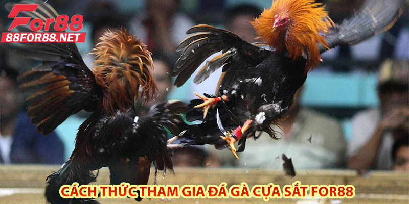 Cách Thức Tham Gia Đá Gà Cựa Sắt For88