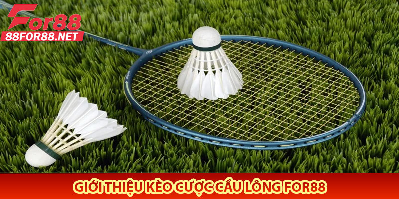 Giới Thiệu Kèo Cược Cầu Lông For88