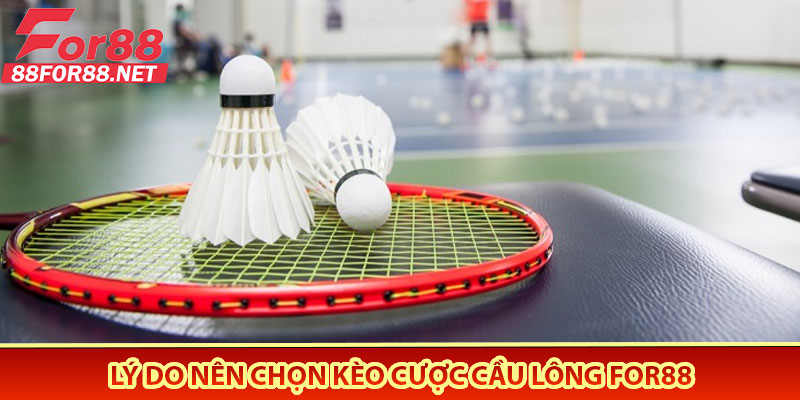 Lý Do Nên Chọn Kèo Cược Cầu Lông For88