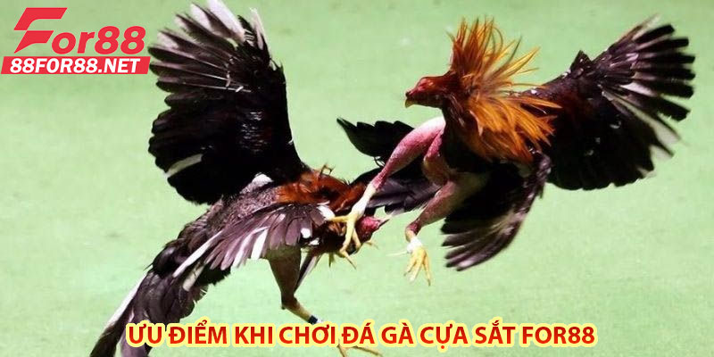 Ưu Điểm Khi Chơi Đá Gà Cựa Sắt For88