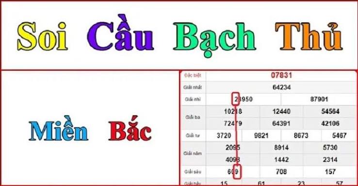 Bản đồ nhịp số và chu kỳ bạch thủ 2026